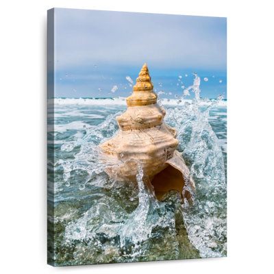 Aletra Ocean Conch Shell