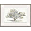 Graceful Moss Veils 3 Print