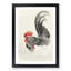 Rooster & Hen by Ohara Koson - Picture Frame Graphic Art Print-55610770-55610771