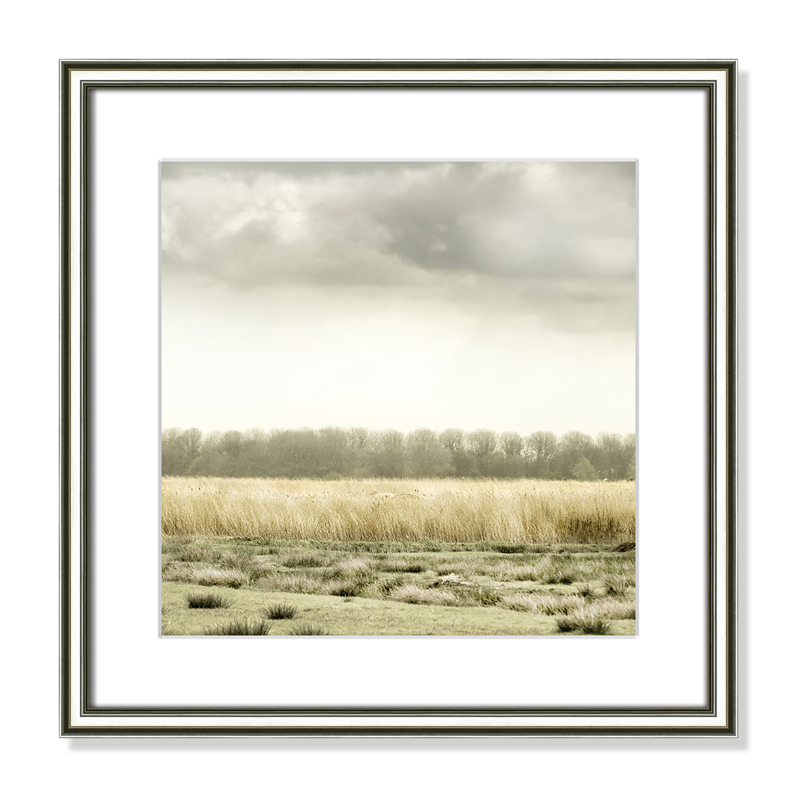 Henri "Meadowland" Print by Danita Delimont, 17" H x 17" W , Silver
