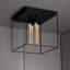 Caged Ceiling 4.0-80760945