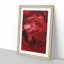 Petals of Red Flower - Picture Frame Graphic Art Print-55732107-55732111
