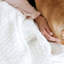 Snug Weighted Throw Blanket-337121910