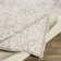 Bechtel Oriental Indoor Rug
