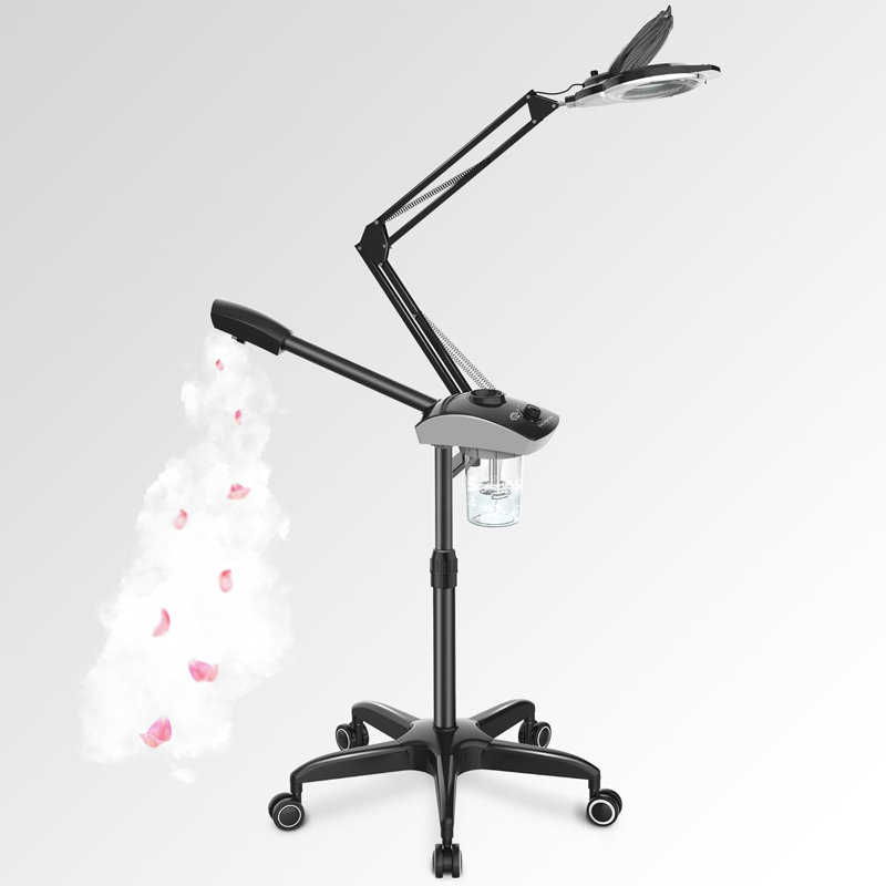 2-in-1 Freestanding Facial Steamer Makeup Organizer with 5X Magnifying Lamp