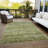 Machine Washable Indoor/Outdoor Christain ACN1166 Olive Rug-109514570