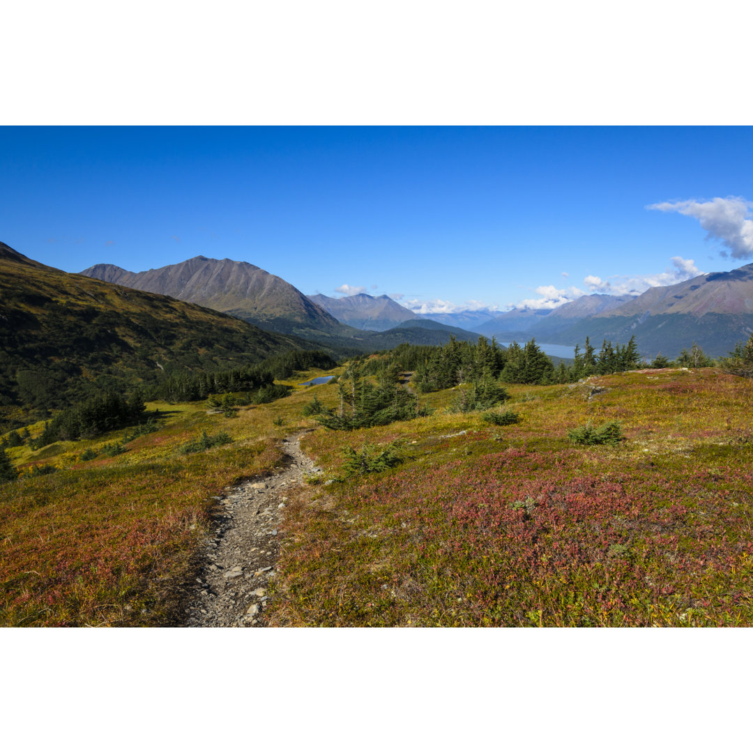 Seward, Alaska von SusanSerna - Kunstdrucke auf Leinwand