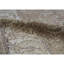 Sultanabad Wool Oriental Area Rug in Camel/Cream