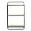 FF-006396533610 31.23 H x 19.76 W
