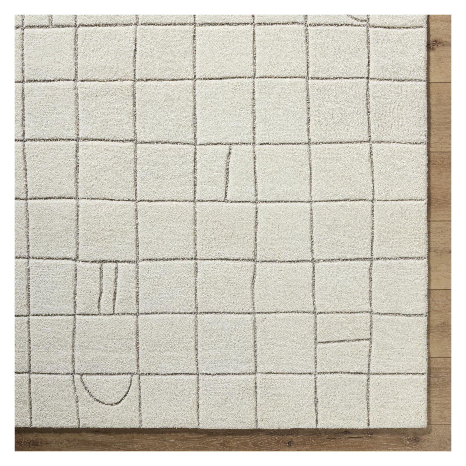 Lorette Hand Tufted Wool Off-White Rug, Rectangle 2' x 3'