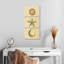 Coquillages au bord de mer-1644111557