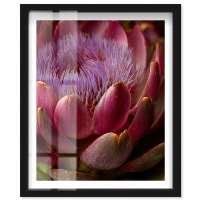 Artichoke Flower Shadowbox Print Floral Wall Decor by Notoriart, Black Frame, 30 x 36