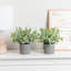 2 - Piece Artificial Plant Set