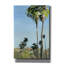  «La Palms» par Brook Page, art mural 12 po x 18 po