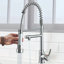 Belfry Kitchen Keenes Pull Down Kitchen Faucet