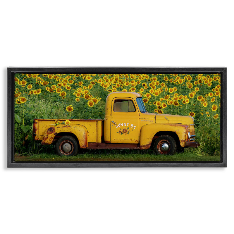 Ramassage jaune dans un champ de tournesols, Cadre flottant noir de jais, H 14 po x l 31 po