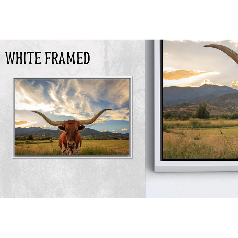 «Longhorn Cow», reproduction d'art sur toile, 1P, encadré blanc, H: 47,3 po x l: 67 po