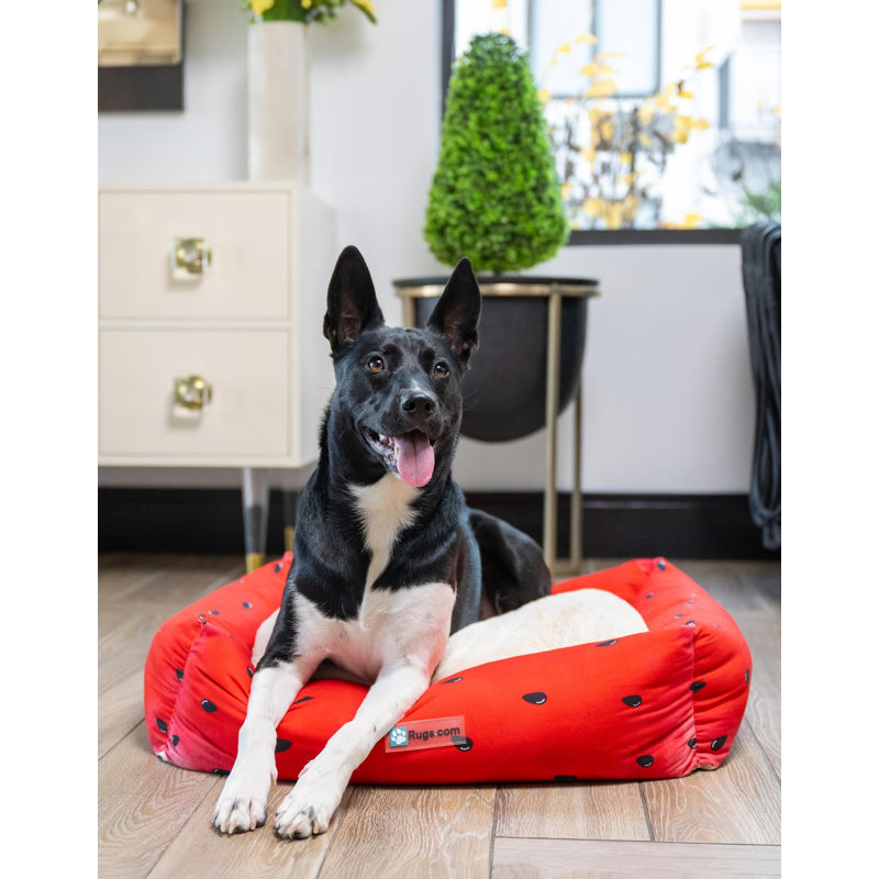 Tapis pour lit de qualité supérieure Rugs.com, H 7,5 po x l 24 po x P 28 po, Noir / ivoire / rouge / vert uni