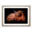 Highland Cow in the Shadows - Picture Frame Painting Print-55580277-55580276