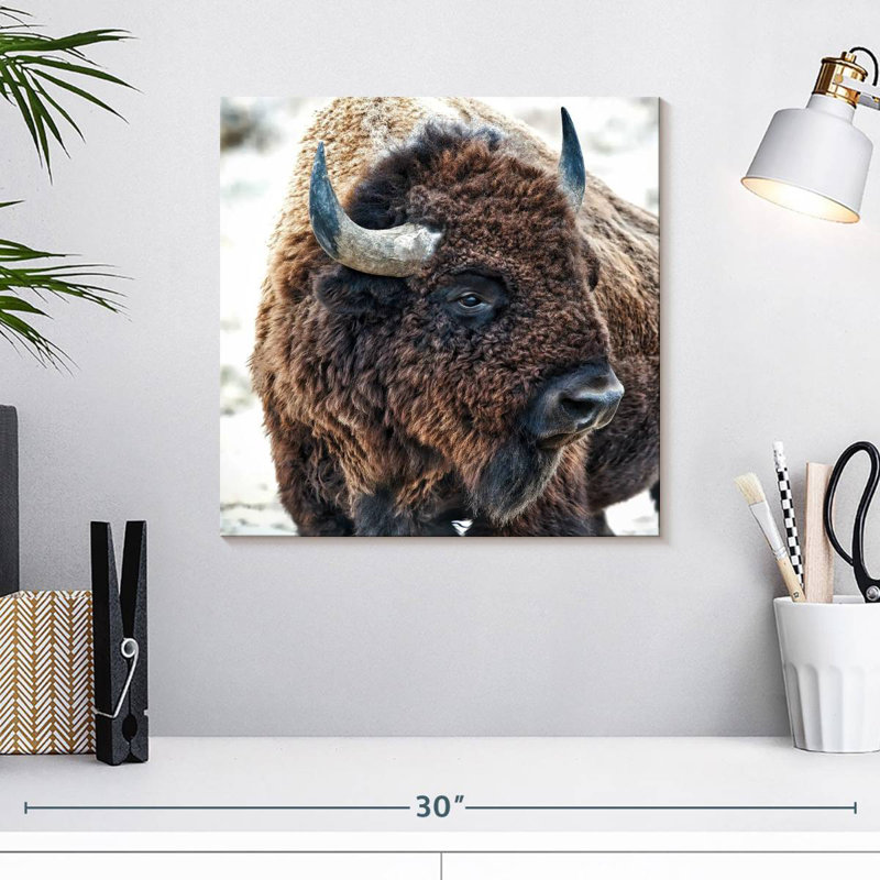 Ronce en présence de bisons, H 16 po x l 16 po