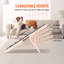 Pet Ramps-253103777