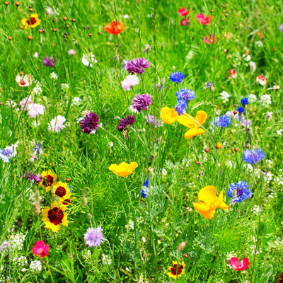 Wild Flowers - Wrapped Canvas Print