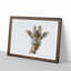 Curious Giraffe in Abstract - Picture Frame Graphic Art Print-55679591-55679590