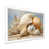White Single Picture Framed