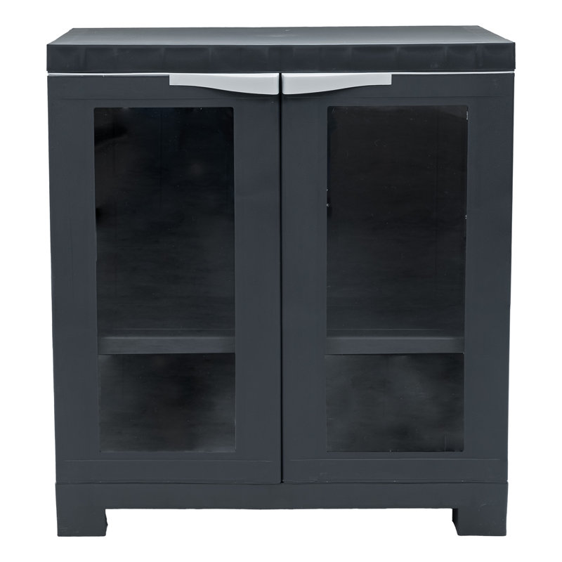 Storage Cabinet with Adjustable Shelf and 2 Windows - Charcoal