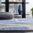 Gaudioso Performance Abstract Rug-2040015070