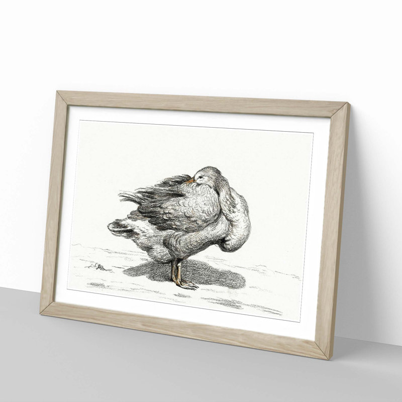 Goose by Jean Bernard - Picture Frame Drawing Print, 36cm H x 48cm W x 2cm D, Oak Framed