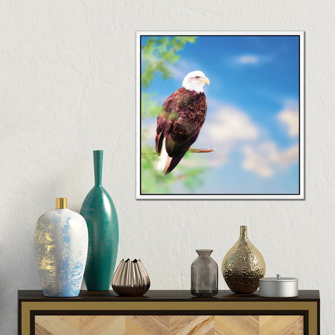 Amerikanischer Weißkopfseeadler auf einem Baum von Susan Richey - Galerie-verpackte Leinwand Giclée