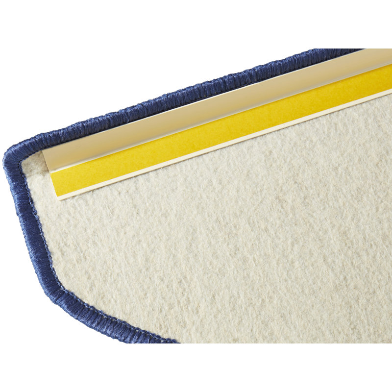 Fancy Blue Stair Tread
