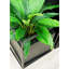 Faux calathea botanique au fini vert-1369256153