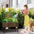 Asie Wood Elevated Planter