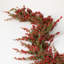 5' Cedar Berry Garland