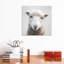 «Sheep» - reproduction de photo-52366826-52366834