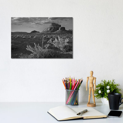 Miner's Candle Flowers, Cathedral Wash, Vermilion Cliffs National Monument, Arizona by Tim Fitzharris - No Frame Gallery-Wrapped Canvas Giclée on Canvas