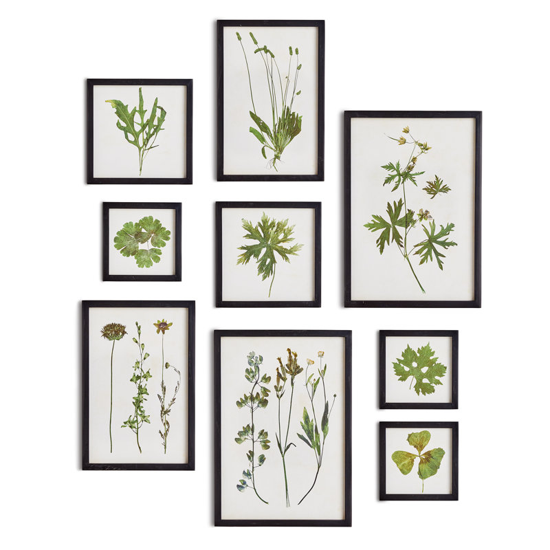Impressions de feuillage Violeta