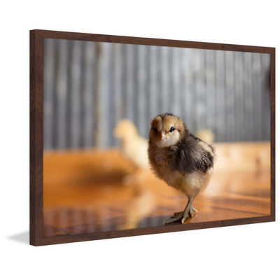 Single Picture Frame Print