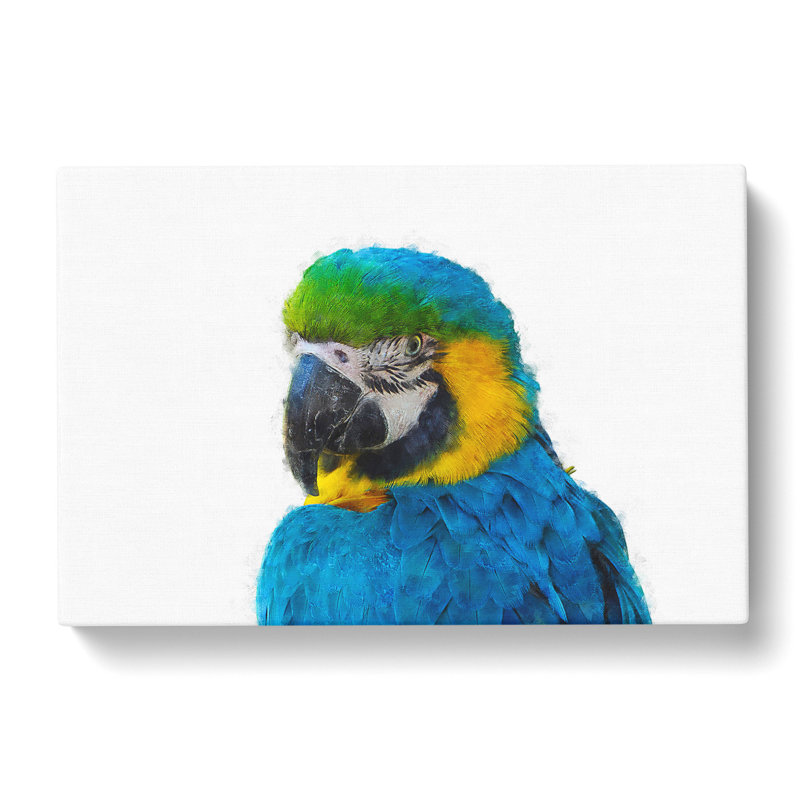 Blue & Yellow Macaw Parrot - Wrapped Canvas Painting, 60cm H x 91cm W x 3cm D
