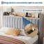 Structure de lit double avec tiroirs de rangement et station de charge, conception silencieuse, support de lattes en bois, cadre de lit rembourré, aucun sommier requis, assemblage facile, gris-707500338-707500348
