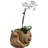 Derwin Statue Planter-691139011-691139020