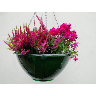 Hanging Planter