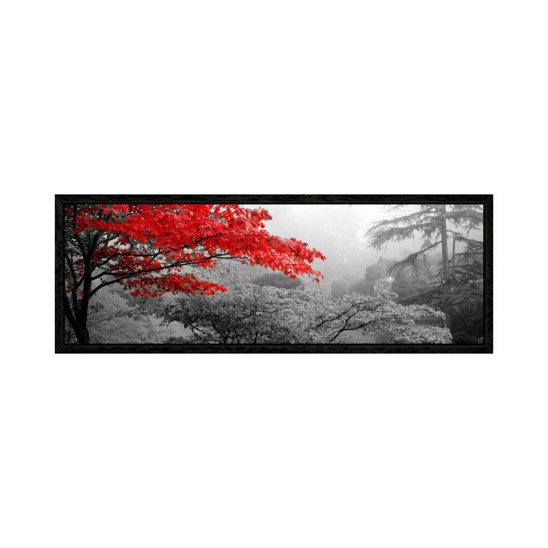 Trees In A Garden, Butchart Gardens, Victoria, Vancouver Island, British Columbia, Canada Color Pop - Wrapped Canvas Panoramic Print