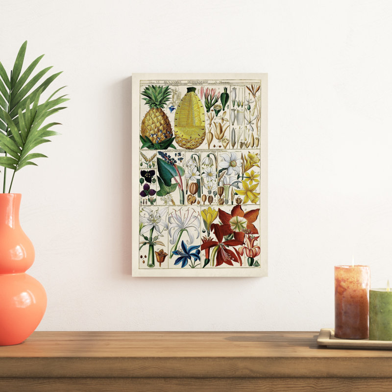 " Pineapple Chart " Painting Print, 18" H x 12" W