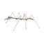 Spoon Ant Figurine