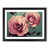 Black Framed selected