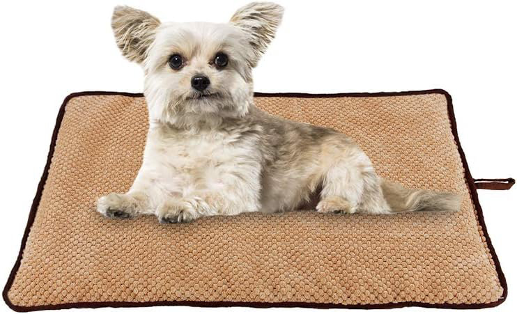 Riata Orthopedic Fleece Pet Bed, Extra Small