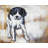 Curious Puppy Dog Polyester Placemat - Contemporary Home Decor